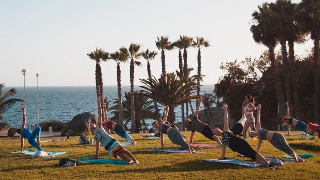 Sustainable Meals – Sustainability in Focus: The Future of Fitness Travel